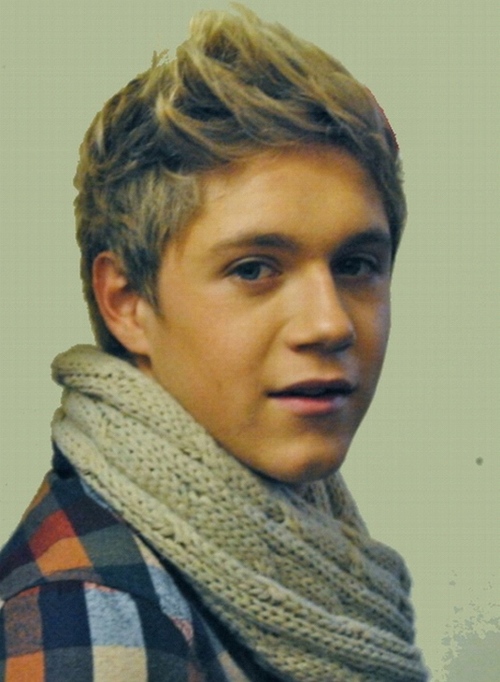 Uи suєñσ♥ |Niαll Hσяαи & tú| - Página 2 Niall-horan-image_large