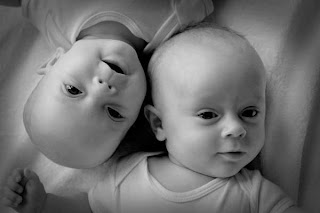 حقائق عن التوائم Pregnancy-twins