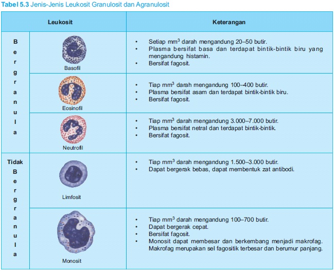 pengobatan penaykit kanker darah Tabel5.3