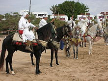 الحصان البربري barbe  220px-Berber_warriors_show