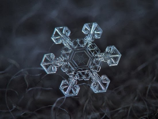 مصور روسي يكشف عن جمال فريد لرقاقات الثلج  Snowflake-closeup2-550x412