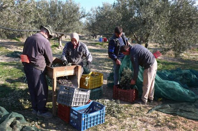 Έλεγχος για τη διαχείριση ενισχύσεων του ΕΛΓΑ F5CE9BAE4E6B58CC038CE6C53B7B8445