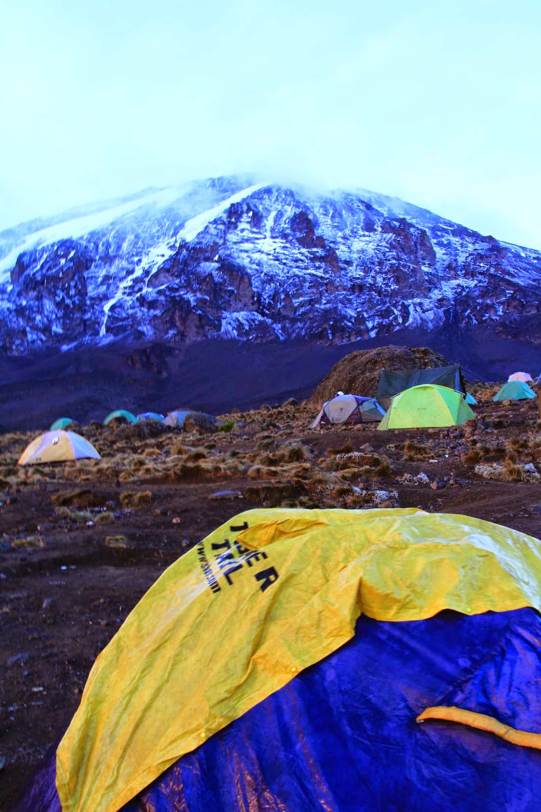 On the Roof of Africa or How (not) to climb Mt Kilimanjaro IMG_8436