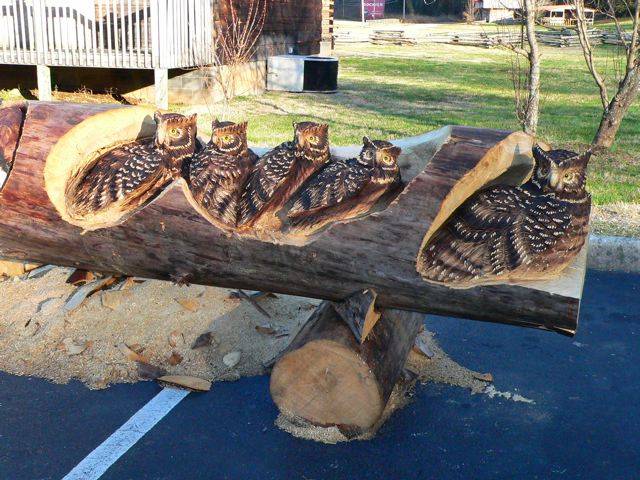 Animals Carved In Tree Trunk فنان نيوزلندي يبدع في النحت على  جذوع الأشجار Image012