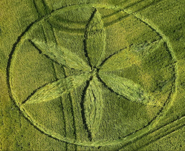 Crop Circle  - Página 33 %25C3%25B11