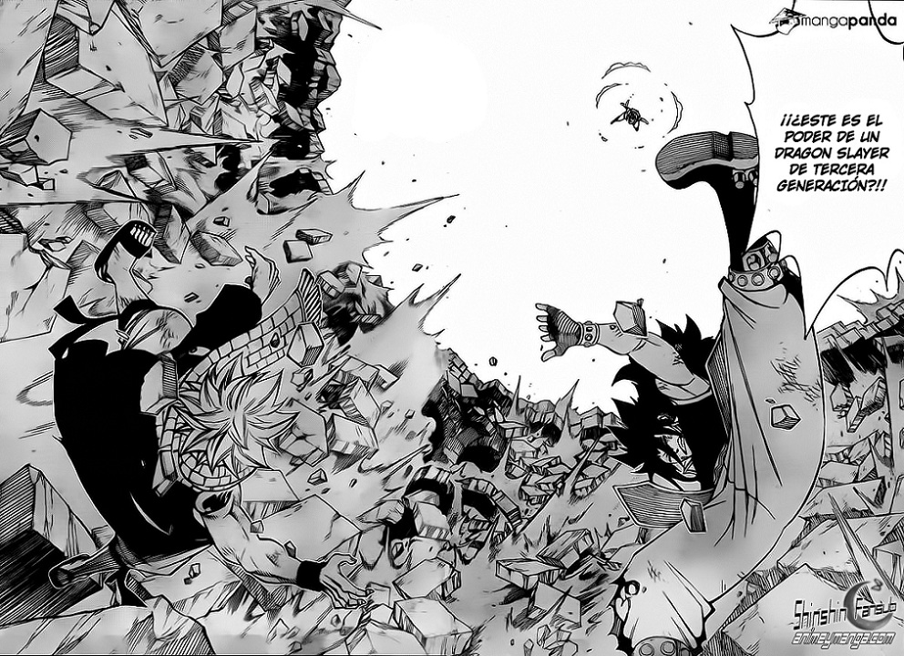 Fairy Tail Capitulo 295 12