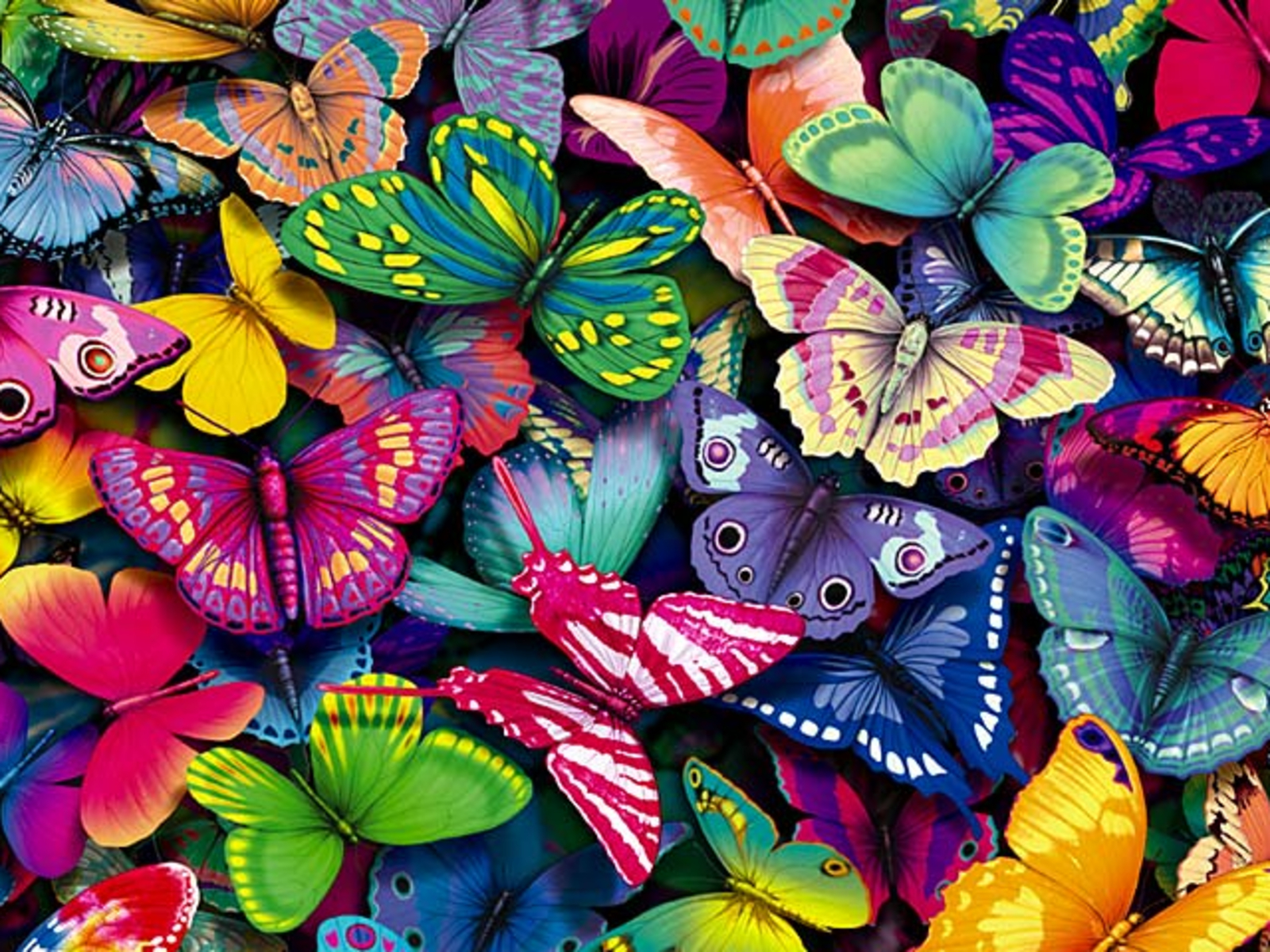 Imagenes de mariposas Mariposas