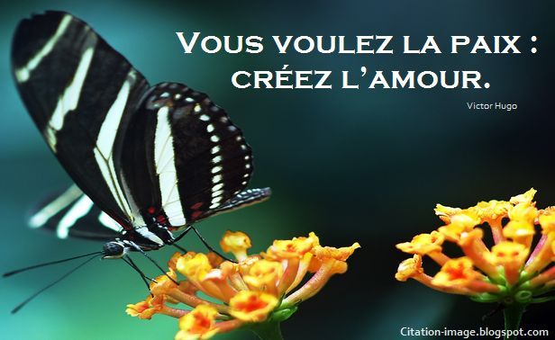 echange avec membres zc - Page 18 Image-citation-amour