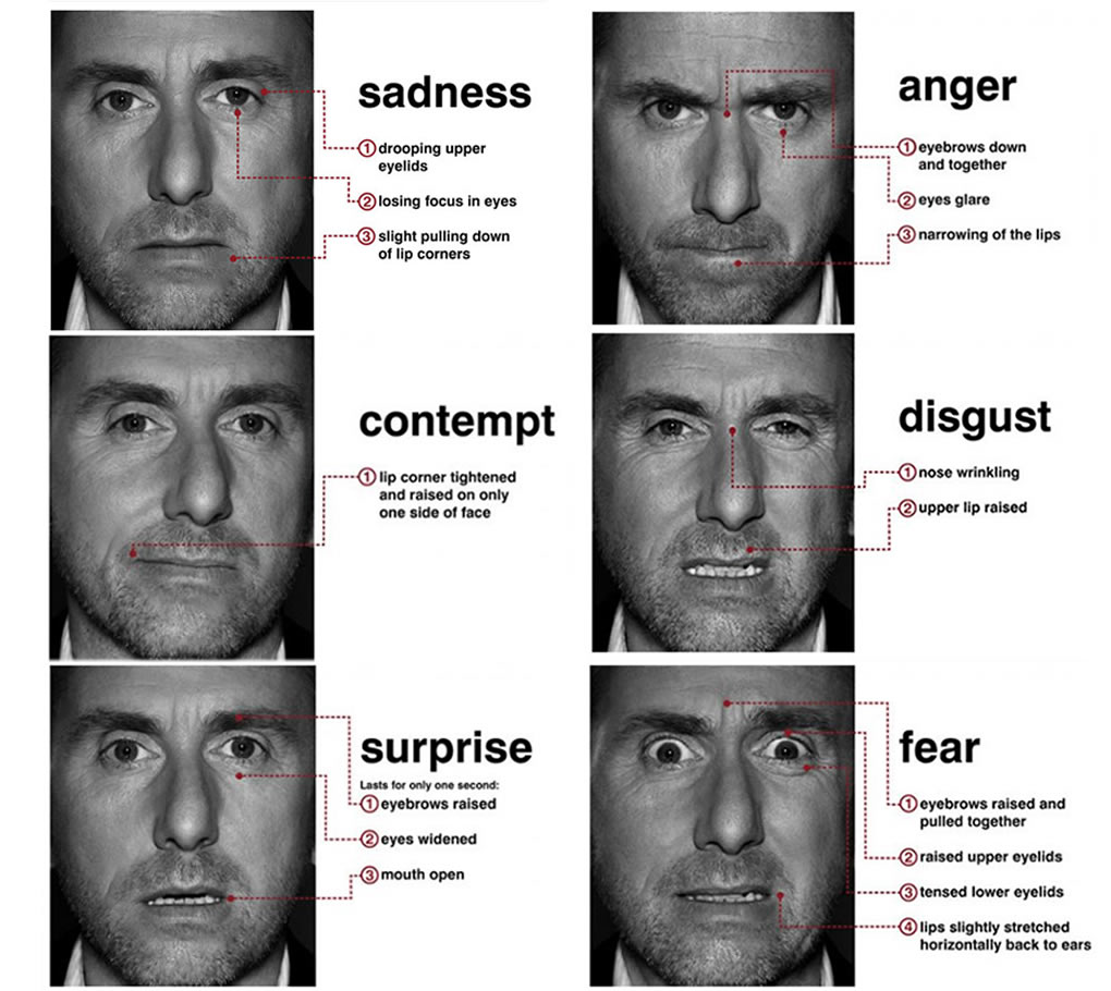 Resource & Insight Micro_expressions_tim_roth%255B1%255D