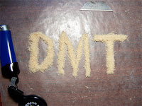 DMT and the Persistent Illusion  DMT%2Bparting%2Bshot