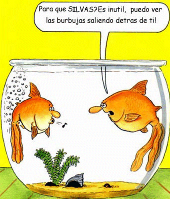 Chistes Gráficos Chistes-graficos-los-peces