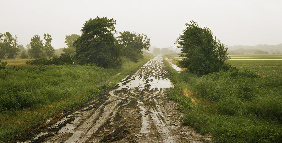 Funny smell Muddy_country_road