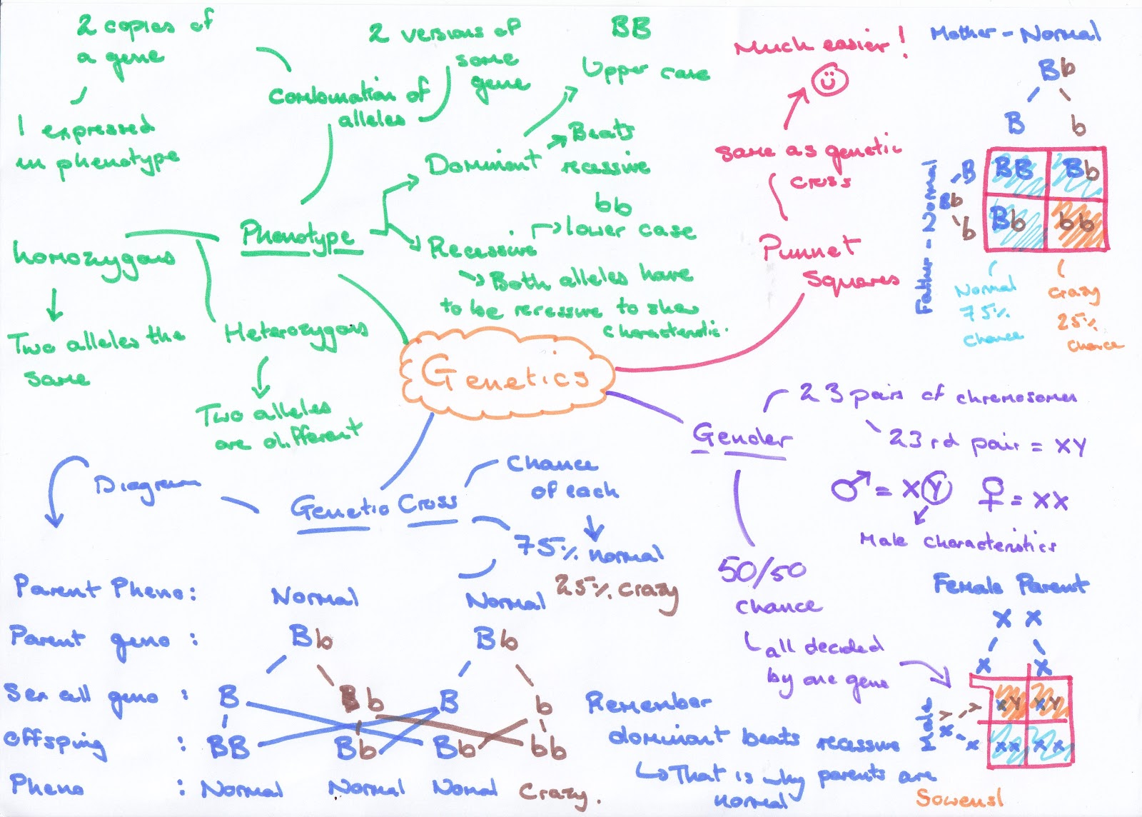 Genetics Genetics