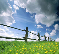 Acervo Teológico Campo