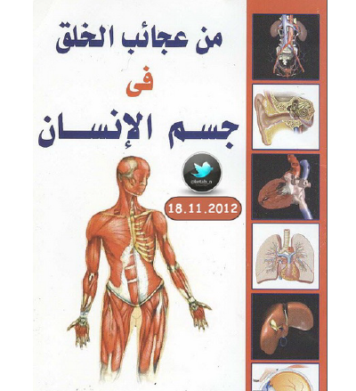 سبعة عجائب في جسمك أيها اإنسان %D8%A7%D9%84%D8%A7%D9%86%D8%B3%D8%A7%D9%86