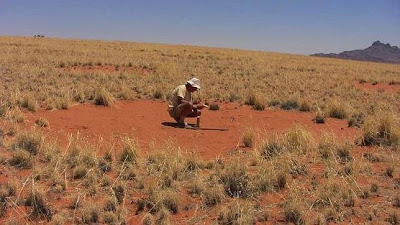 El misterio de los círculos de Namibia  Anillo-hadas--644x362