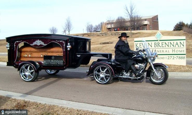 faut apprendre à conduire.... - Page 15 Humour-drole-insolite-transport-moto-harley-davidson1