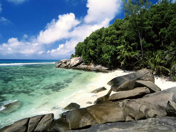 تعرفوا على بريندون جريمشا الذي يملك جزيرة استوائية بأكملها Pirate_Cove_Moyenne_Island_Seychelles