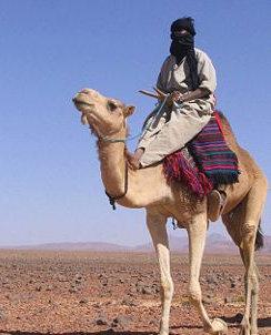 Caos ! 2014 El-beduino-su-camello-L-1