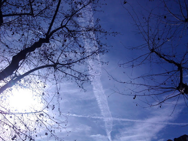 La FUMIGACIÓN CONTINUA...¡¡ Foto0778