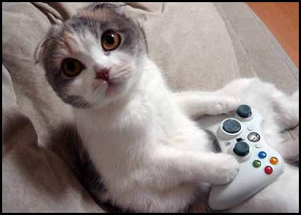 Eres gamer? te gustara este pack de imagenes divertidas Gato-gamer