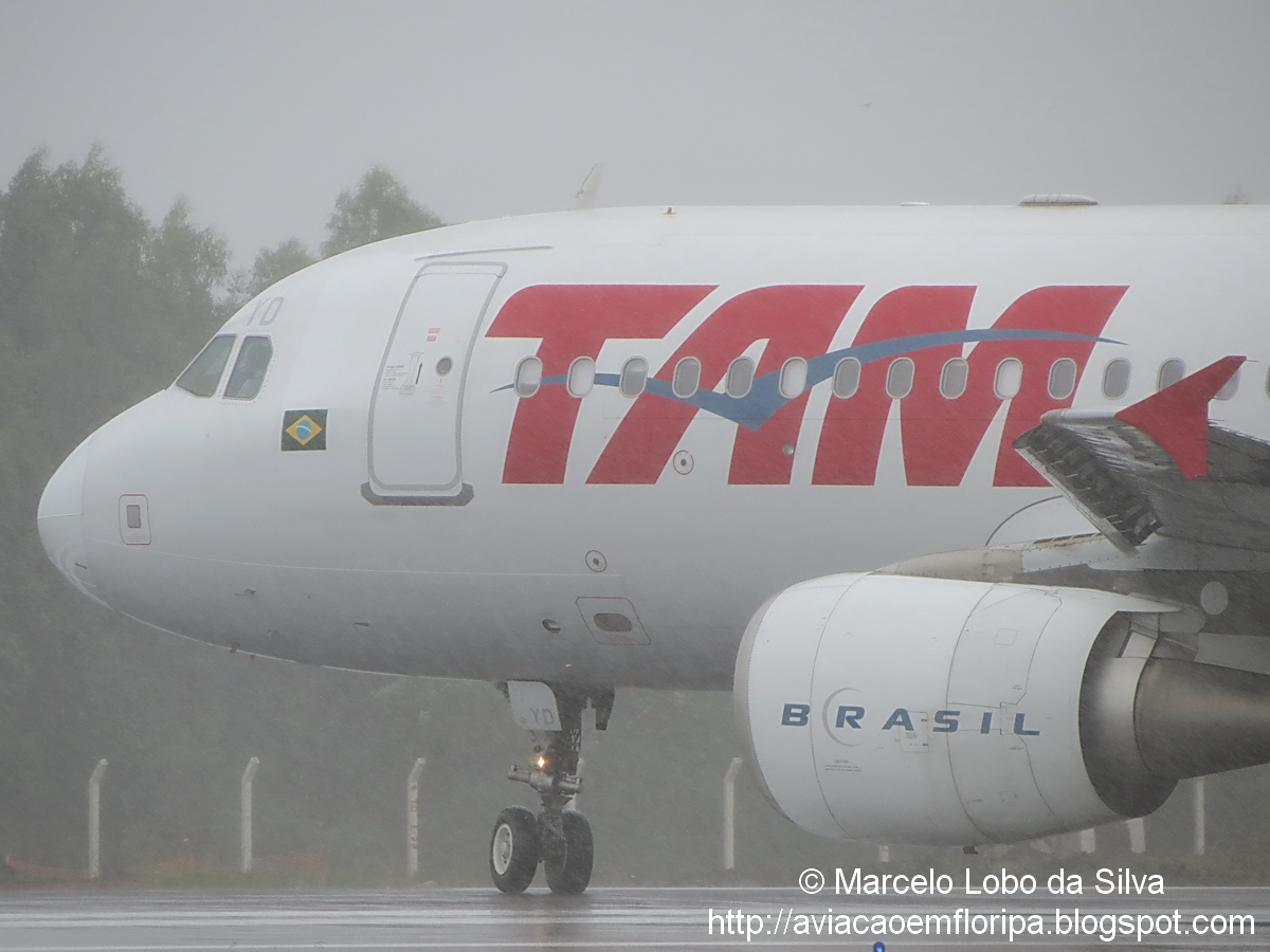 Spotting sous beaucoup de pluie! IMG_2477