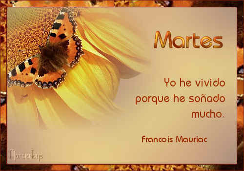 MARTES 3 DE ABRIL DE 2012 - Por favor pasen sus datos, pálpitos y comentarios de quiniela AQUI para hacerlo más ágil. Gracias - Página 3 Mgc-girasoles02martes