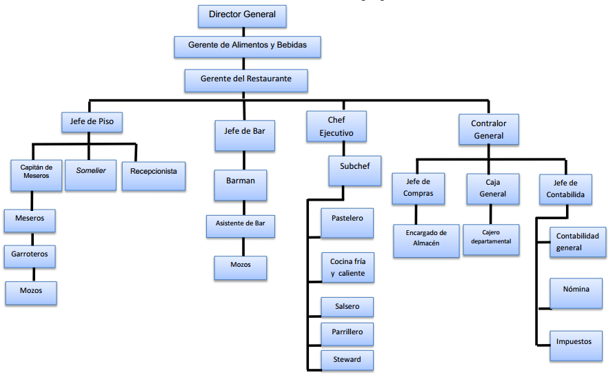 Repaso Analisis Organigramabars-779660