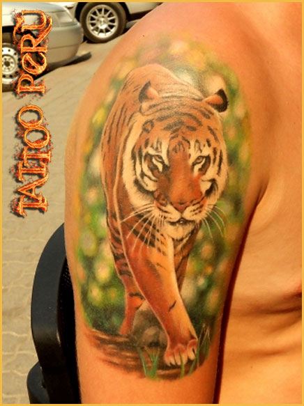 FOTOS DE TATUAJES Tattoo_de_tigres