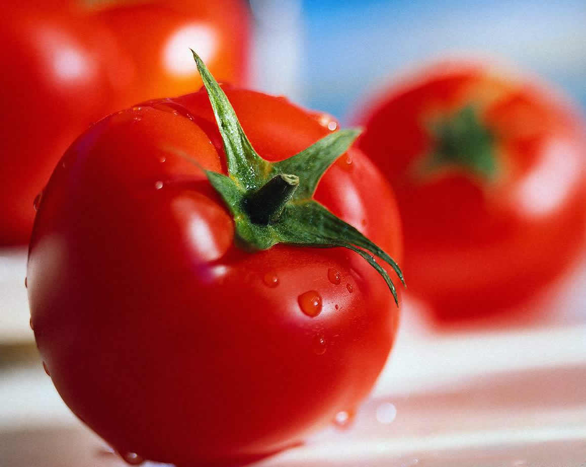 Ξεζουμίστε κόκκινες ντομάτες Tomaten