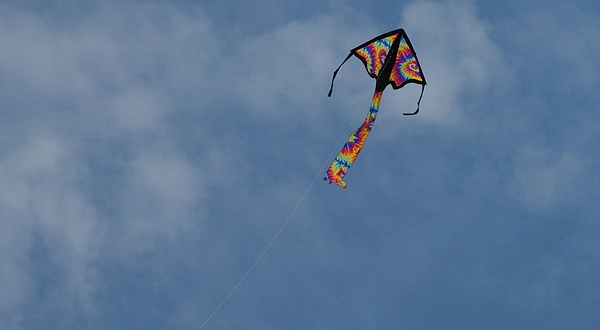 1....2...3... ESTAMOS EN EL AIRE  - Página 4 Cometa