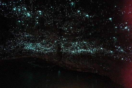 Les plus belles photos de la nature insolite - Page 2 Waitomo_caves_3%255B1%255D