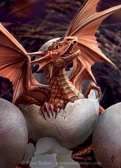 Here There Be Dragons! - Page 28 First_Flap_by_Anne_Stokes