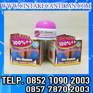 DR. SUSAN BREAST UP CREAM [081291625333] Pembesar Payudara 100% Asli & Aman DR