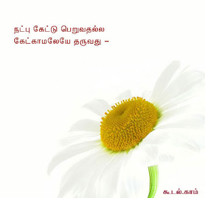 நட்பு Tamil005