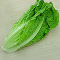 الوان من شم النسيم Lettuce