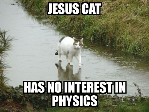 El post Random Jesus-cat-lolcats-has-no-interest-in-physics