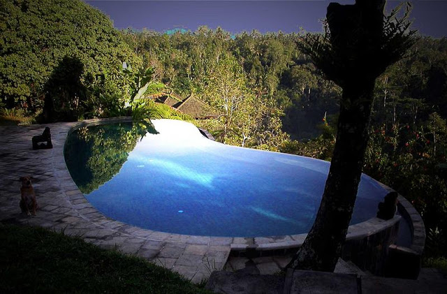 أجمل 25 مسبح حول العالم Murnis-villa-ubud-bali-infinity-pool