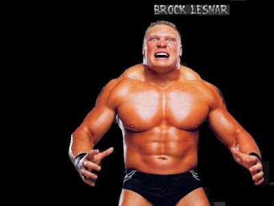 un voeu une image Brock1-500x375