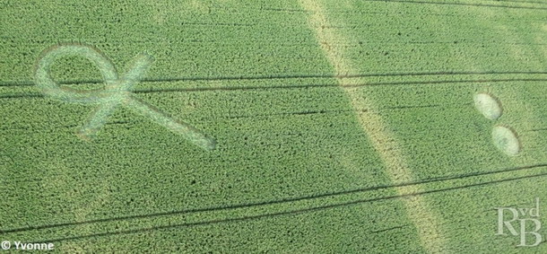 Crop Circle  - Página 33 Ank4