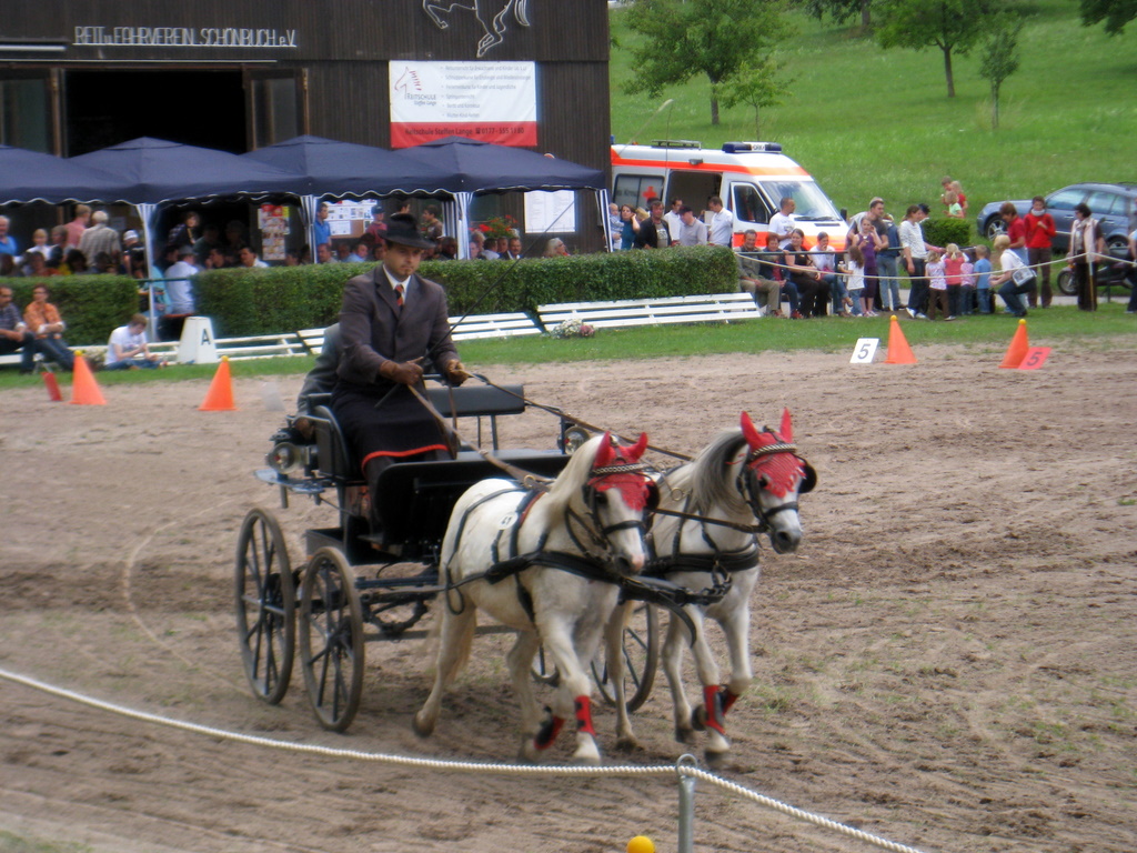 Hindernisfahren - Fotos von einem Turnier IMG_1363