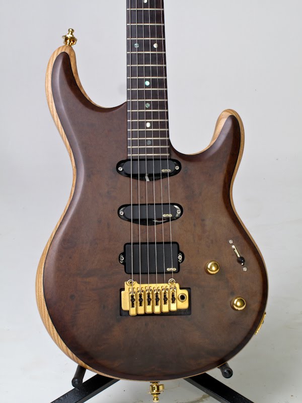 Guitarra M.Laghus Strato? 5658969930_201025e72d_b