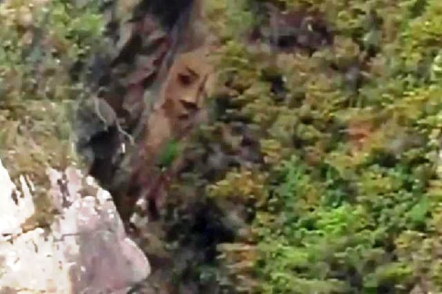 Mystery face found carved in a remote rock on Canadian island Rock%2Bcarving%2Bancient%2Bhistory%2Bmystery