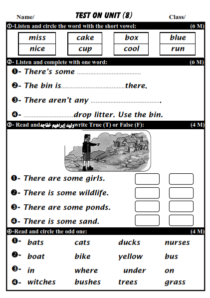 امتحان Time For English الوحده 8 للصف الرابع 2015 UNIT%2B(8)%2BTEST%2BYEAR%2B4_002