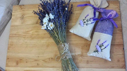 Chuyên bán buôn bán lẻ hoa oải hương Lavender Pháp , Hoa oải hương pháp - Lavender store 1513784_1590765641140561_8307213802819636190_n