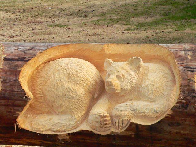 Animals Carved In Tree Trunk فنان نيوزلندي يبدع في النحت على  جذوع الأشجار Image006