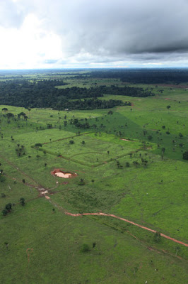 Quand la déforestation dévoile des géoglyphes en Amazonie...  Geoglyphes_amazonie