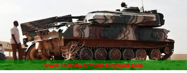 Conflictos Africanos - Página 4 EsotericArmourBlogspot_Mali_Shilka_1