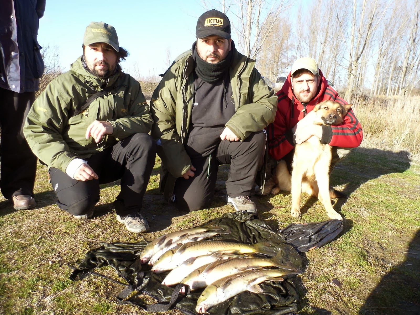 Uno barbos del Esla. P1020143