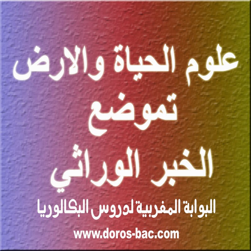 تموضع الخبر الوراثي Dorossvt4